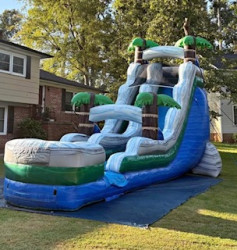 18' Blue Palm Tree Slide