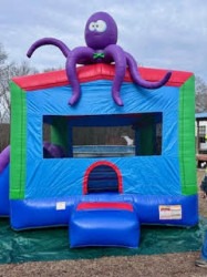 unnamed2012 1774458740 Octopus bounce / slide combo wet or dry